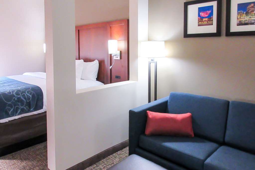 Comfort Suites Greensboro-High Point Room photo