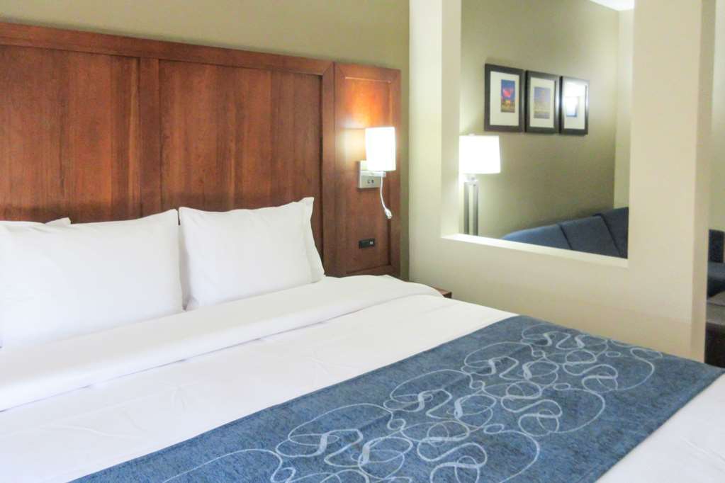 Comfort Suites Greensboro-High Point Room photo